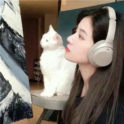 败犬女主太多了!